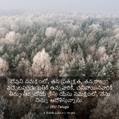 Picture 03 - 2 తిమోతి పత్రిక 4:1 TELIRV - దేవుని సమక్షంలో, - Bible Verse Picture