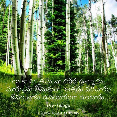 Picture 03 - 2 తిమోతి పత్రిక 4:11 TELIRV - లూకా మాత్రమే నా - Bible Verse Picture