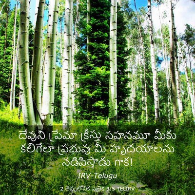 Picture 03 - 2 తెస్సలోనిక పత్రిక 3:5 TELIRV - దేవుని ప్రేమా - Bible Verse Picture