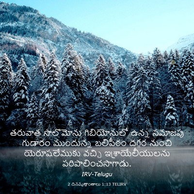 Picture 03 - 2 దినవృత్తాంతాలు 1:13 TELIRV - తరువాత సొలొమోను - Bible Verse Picture