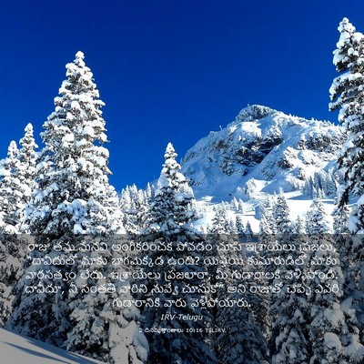 Picture 03 - 2 దినవృత్తాంతాలు 10:16 TELIRV - రాజు తమ మనవి - Bible Verse Picture