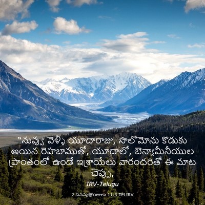 Picture 03 - 2 దినవృత్తాంతాలు 11:3 TELIRV - “నువ్వు వెళ్ళి - Bible Verse Picture