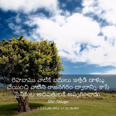 Picture 03 - 2 దినవృత్తాంతాలు 12:10 TELIRV - రెహబాము వాటికి - Bible Verse Picture