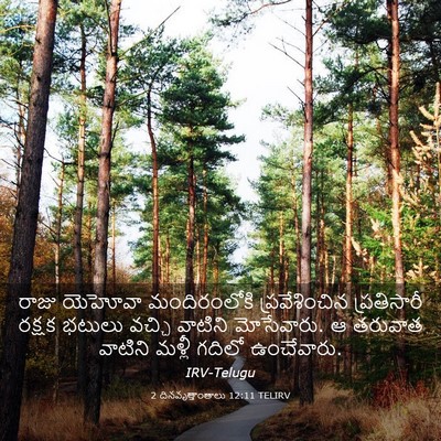 Picture 03 - 2 దినవృత్తాంతాలు 12:11 TELIRV - రాజు యెహోవా - Bible Verse Picture