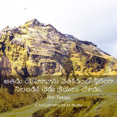 Picture 03 - 2 దినవృత్తాంతాలు 12:14 TELIRV - అతడు యెహోవాను - Bible Verse Picture