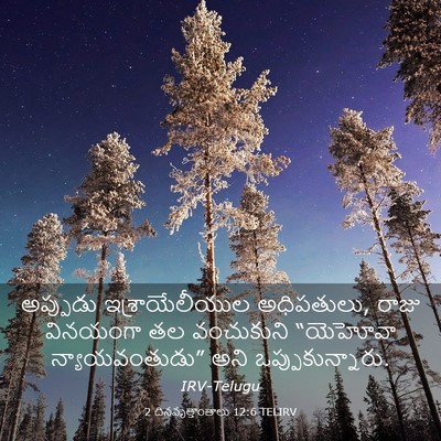 Picture 03 - 2 దినవృత్తాంతాలు 12:6 TELIRV - అప్పుడు - Bible Verse Picture