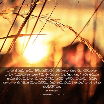 Picture 03 - 2 దినవృత్తాంతాలు 12:7 TELIRV - వారు తమను తాము - Bible Verse Picture