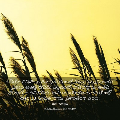 Picture 03 - 2 దినవృత్తాంతాలు 14:1 TELIRV - అబీయా చనిపోయి తన - Bible Verse Picture