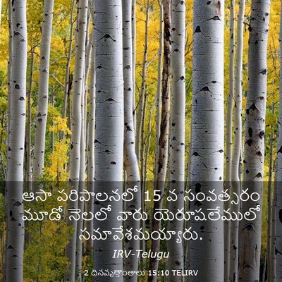 Picture 03 - 2 దినవృత్తాంతాలు 15:10 TELIRV - ఆసా పరిపాలనలో 15 వ - Bible Verse Picture