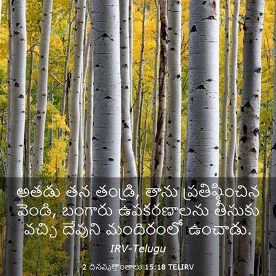 Picture 03 - 2 దినవృత్తాంతాలు 15:18 TELIRV - అతడు తన తండ్రి, - Bible Verse Picture