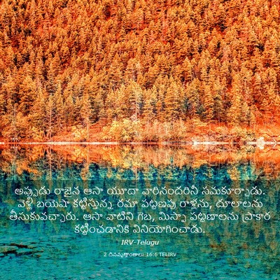 Picture 03 - 2 దినవృత్తాంతాలు 16:6 TELIRV - అప్పుడు రాజైన ఆసా - Bible Verse Picture