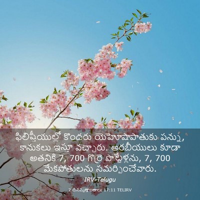 Picture 03 - 2 దినవృత్తాంతాలు 17:11 TELIRV - ఫిలిష్తీయుల్లో - Bible Verse Picture