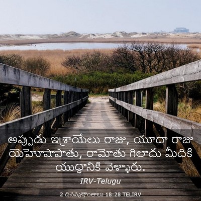 Picture 03 - 2 దినవృత్తాంతాలు 18:28 TELIRV - అప్పుడు ఇశ్రాయేలు - Bible Verse Picture