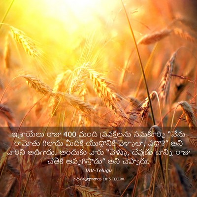 Picture 03 - 2 దినవృత్తాంతాలు 18:5 TELIRV - ఇశ్రాయేలు రాజు 400 - Bible Verse Picture