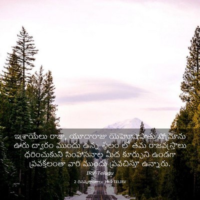 Picture 03 - 2 దినవృత్తాంతాలు 18:9 TELIRV - ఇశ్రాయేలు రాజు, - Bible Verse Picture