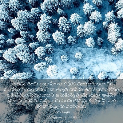 Picture 03 - 2 దినవృత్తాంతాలు 2:3 TELIRV - అతడు తూరు రాజు - Bible Verse Picture