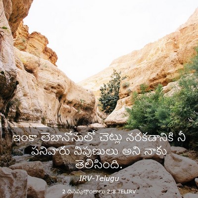 Picture 03 - 2 దినవృత్తాంతాలు 2:8 TELIRV - ఇంకా లెబానోనులో - Bible Verse Picture
