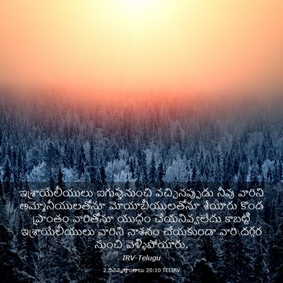 Picture 03 - 2 దినవృత్తాంతాలు 20:10 TELIRV - ఇశ్రాయేలీయులు - Bible Verse Picture
