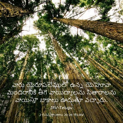 Picture 03 - 2 దినవృత్తాంతాలు 20:28 TELIRV - వారు యెరూషలేములో - Bible Verse Picture