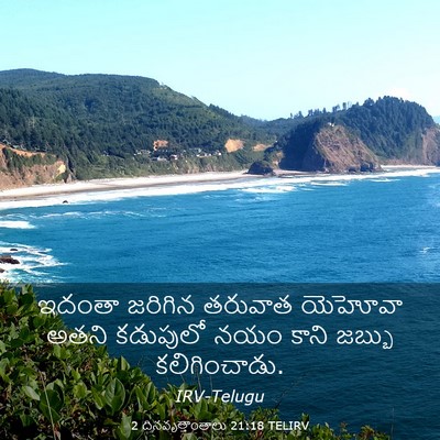 Picture 03 - 2 దినవృత్తాంతాలు 21:18 TELIRV - ఇదంతా జరిగిన - Bible Verse Picture