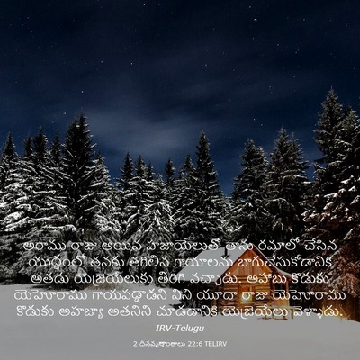 Picture 03 - 2 దినవృత్తాంతాలు 22:6 TELIRV - అరాము రాజు అయిన - Bible Verse Picture