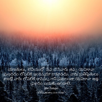 Picture 03 - 2 దినవృత్తాంతాలు 23:6 TELIRV - యాజకులు, - Bible Verse Picture