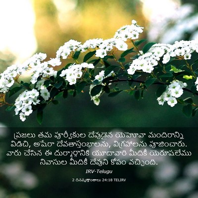 Picture 03 - 2 దినవృత్తాంతాలు 24:18 TELIRV - ప్రజలు తమ - Bible Verse Picture