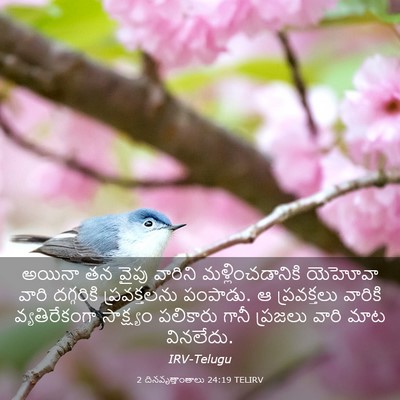 Picture 03 - 2 దినవృత్తాంతాలు 24:19 TELIRV - అయినా తన వైపు - Bible Verse Picture