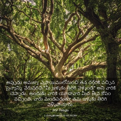 Picture 03 - 2 దినవృత్తాంతాలు 25:10 TELIRV - అప్పుడు అమజ్యా - Bible Verse Picture