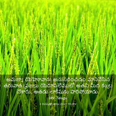 Picture 03 - 2 దినవృత్తాంతాలు 25:27 TELIRV - అమజ్యా యెహోవాను - Bible Verse Picture