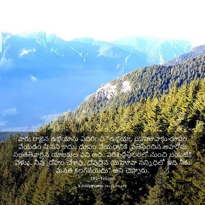 Picture 03 - 2 దినవృత్తాంతాలు 26:18 TELIRV - వారు రాజైన - Bible Verse Picture