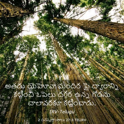 Picture 03 - 2 దినవృత్తాంతాలు 27:3 TELIRV - అతడు యెహోవా మందిర - Bible Verse Picture