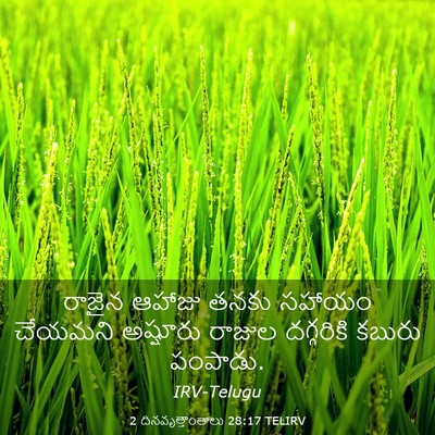 Picture 03 - 2 దినవృత్తాంతాలు 28:17 TELIRV - రాజైన ఆహాజు తనకు - Bible Verse Picture