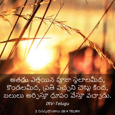 Picture 03 - 2 దినవృత్తాంతాలు 28:4 TELIRV - అతడు ఎత్తయిన పూజా - Bible Verse Picture