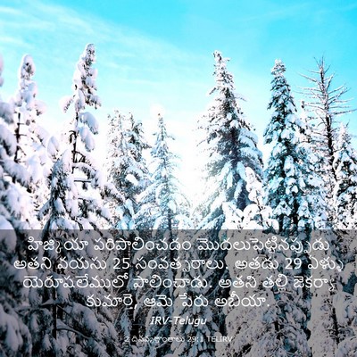 Picture 03 - 2 దినవృత్తాంతాలు 29:1 TELIRV - హిజ్కియా - Bible Verse Picture