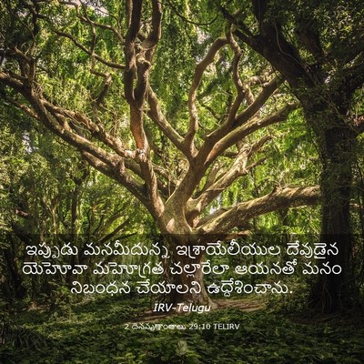 Picture 03 - 2 దినవృత్తాంతాలు 29:10 TELIRV - ఇప్పుడు మనమీదున్న - Bible Verse Picture