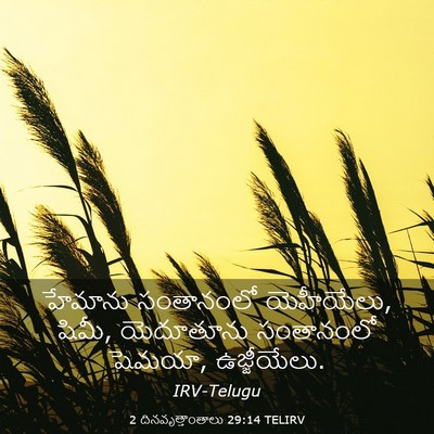 Picture 03 - 2 దినవృత్తాంతాలు 29:14 TELIRV - హేమాను సంతానంలో - Bible Verse Picture