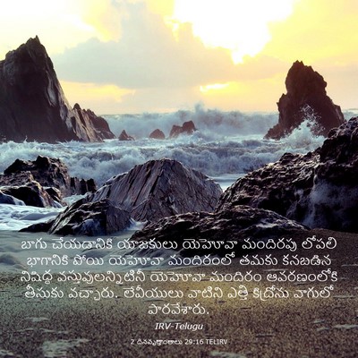 Picture 03 - 2 దినవృత్తాంతాలు 29:16 TELIRV - బాగు చేయడానికి - Bible Verse Picture