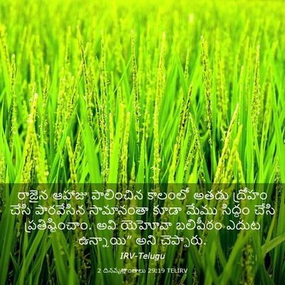 Picture 03 - 2 దినవృత్తాంతాలు 29:19 TELIRV - రాజైన ఆహాజు - Bible Verse Picture
