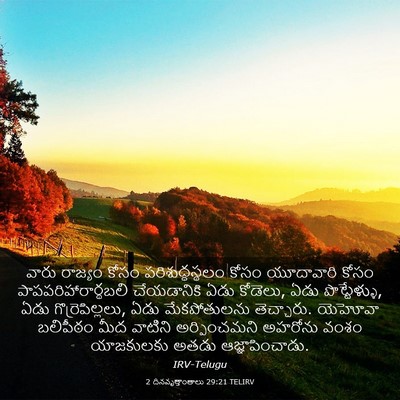Picture 03 - 2 దినవృత్తాంతాలు 29:21 TELIRV - వారు రాజ్యం కోసం - Bible Verse Picture