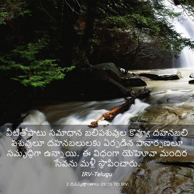 Picture 03 - 2 దినవృత్తాంతాలు 29:35 TELIRV - వీటితోపాటు సమాధాన - Bible Verse Picture