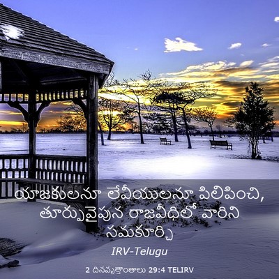 Picture 03 - 2 దినవృత్తాంతాలు 29:4 TELIRV - యాజకులనూ - Bible Verse Picture
