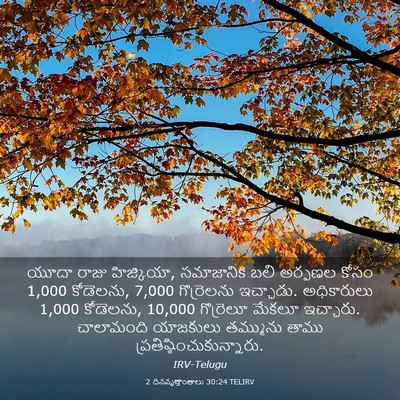 Picture 03 - 2 దినవృత్తాంతాలు 30:24 TELIRV - యూదా రాజు - Bible Verse Picture