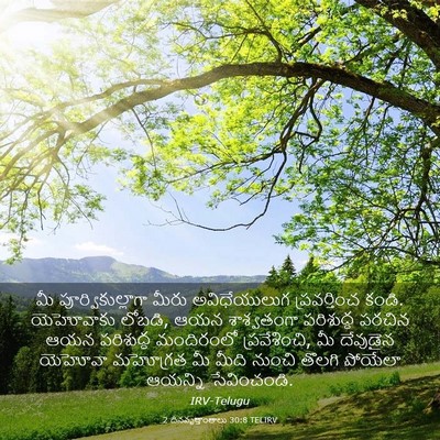 Picture 03 - 2 దినవృత్తాంతాలు 30:8 TELIRV - మీ పూర్వికుల్లాగా - Bible Verse Picture
