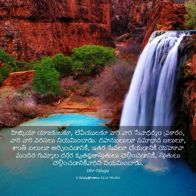 Picture 03 - 2 దినవృత్తాంతాలు 31:2 TELIRV - హిజ్కియా - Bible Verse Picture