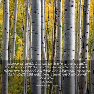Picture 03 - 2 దినవృత్తాంతాలు 32:21 TELIRV - యెహోవా ఒక దూతను - Bible Verse Picture