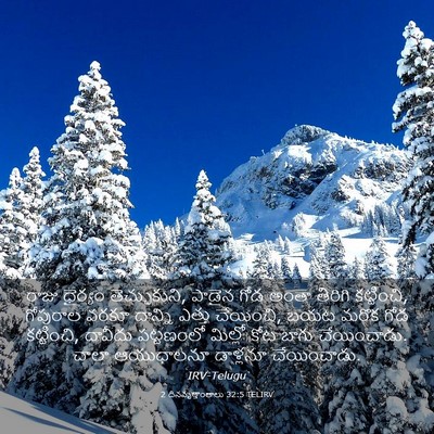 Picture 03 - 2 దినవృత్తాంతాలు 32:5 TELIRV - రాజు ధైర్యం - Bible Verse Picture