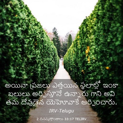 Picture 03 - 2 దినవృత్తాంతాలు 33:17 TELIRV - అయినా ప్రజలు - Bible Verse Picture