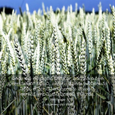 Picture 03 - 2 దినవృత్తాంతాలు 33:3 TELIRV - ఇతడు తన తండ్రియైన - Bible Verse Picture
