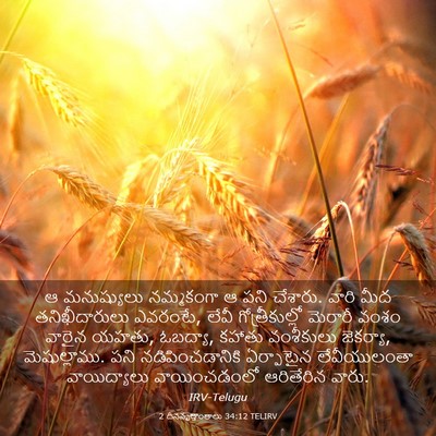 Picture 03 - 2 దినవృత్తాంతాలు 34:12 TELIRV - ఆ మనుష్యులు - Bible Verse Picture